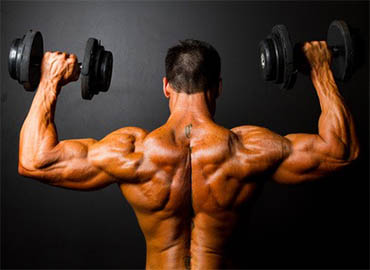 Steroid biceps-ua